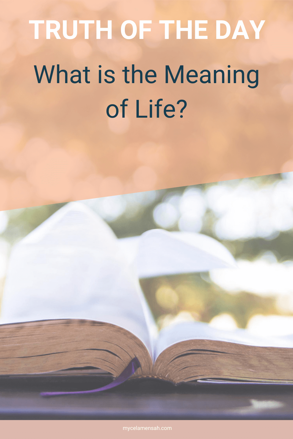 What is the Meaning of Life?