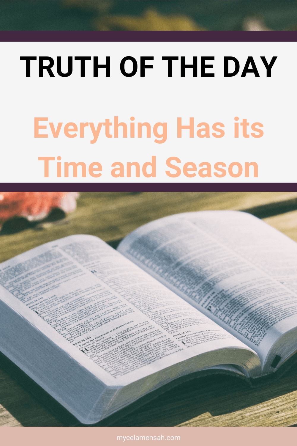 Everything Has its Time and Season